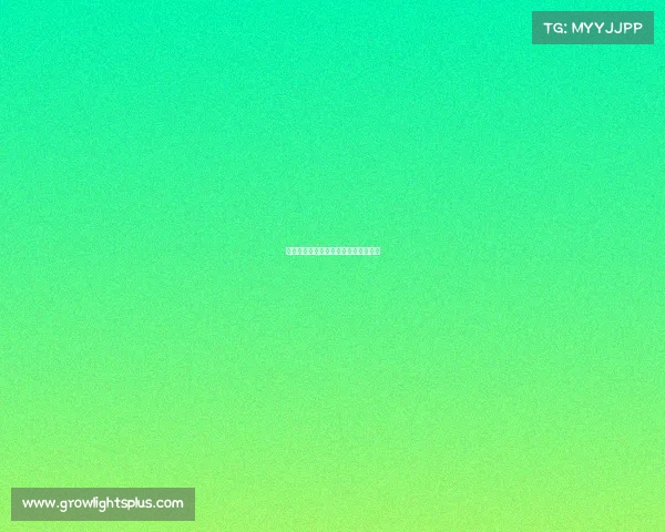 《电竞狂欢夜：谁将加冕年度王者？》