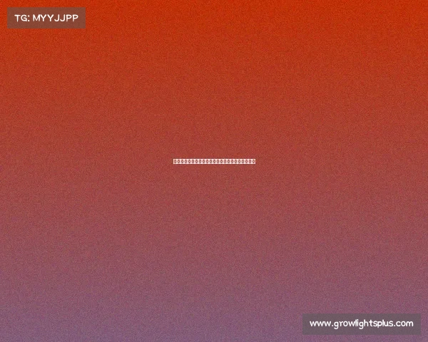 《《玩转电竞：专科院校赛事运营人才培养新路径》