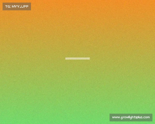 《练出电竞级反应力：你的操作快人一步》