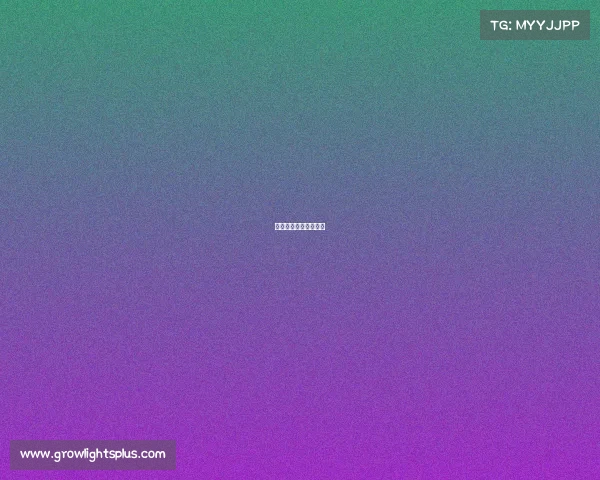 乌海电力职业技术学院