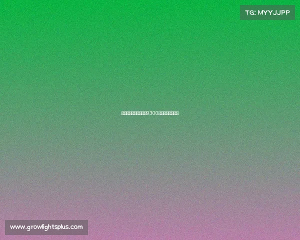 中国电竞收入全景：近9300名选手的财富密码