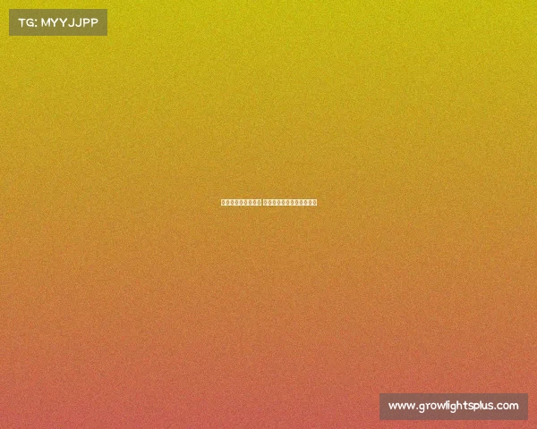 中国电子竞技小哥哥 中国电子竞技小哥哥叫什么