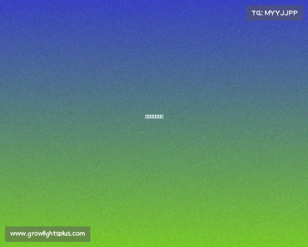 互联网电子竞技