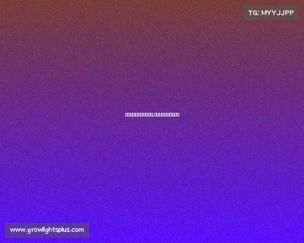 什么是国际电子竞技比赛,国际电子竞技比赛项目