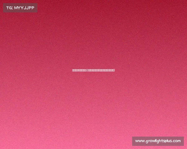 平昌电子竞技锦标赛(平昌冬奥城电竞冠军赛：巅峰对决启幕)