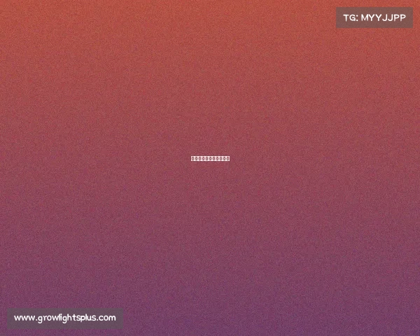 怎么考电子竞技学院本科