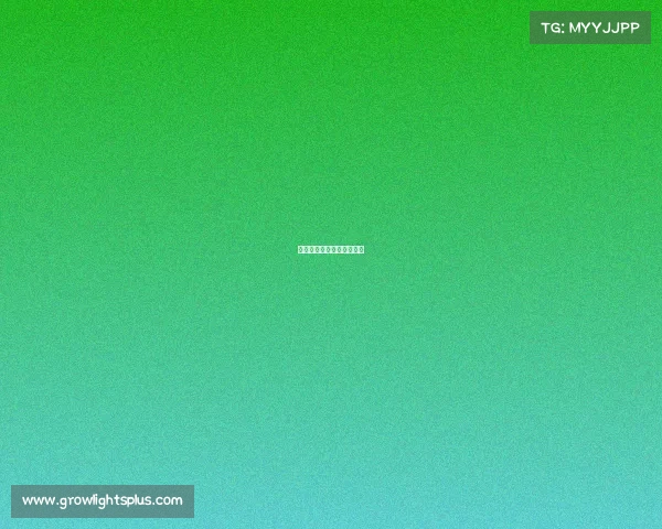 江城竞纪：电竞军团崛起录