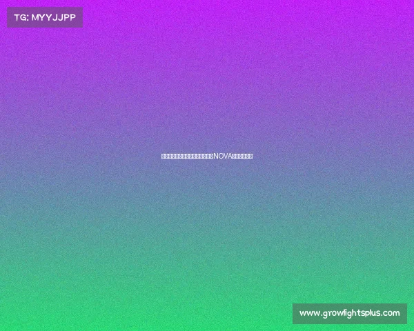 沸腾无畏契约改变者赛沪上收官，NOVA战队勇夺桂冠