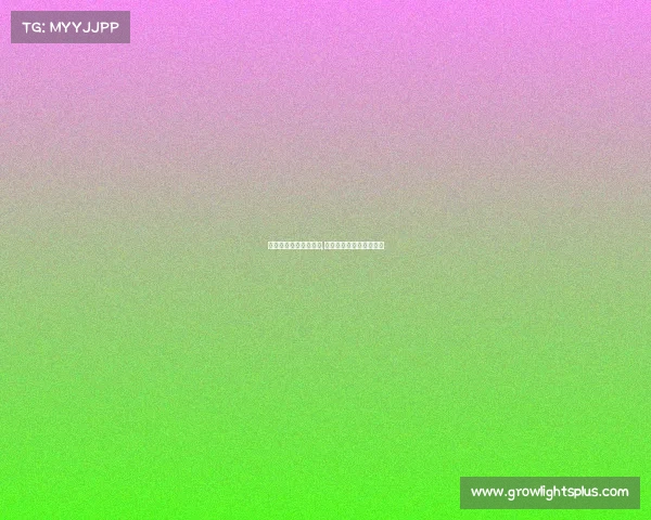 体育人间电子竞技白鲨,白鲨电子竞技俱乐部简称