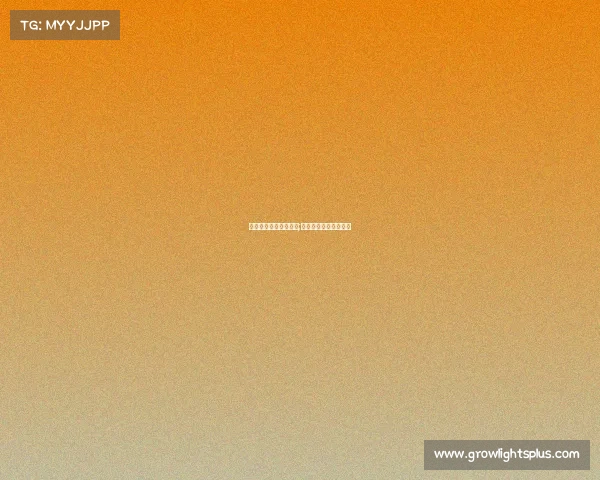 厦门举办全国电子竞技;厦门电子竞技职业选手