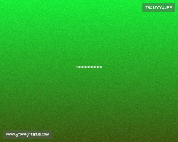 电子竞技工资会计分录—电子竞技薪酬