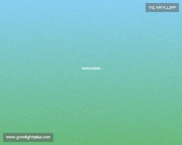 电子竞技趣事;电子竞技故事